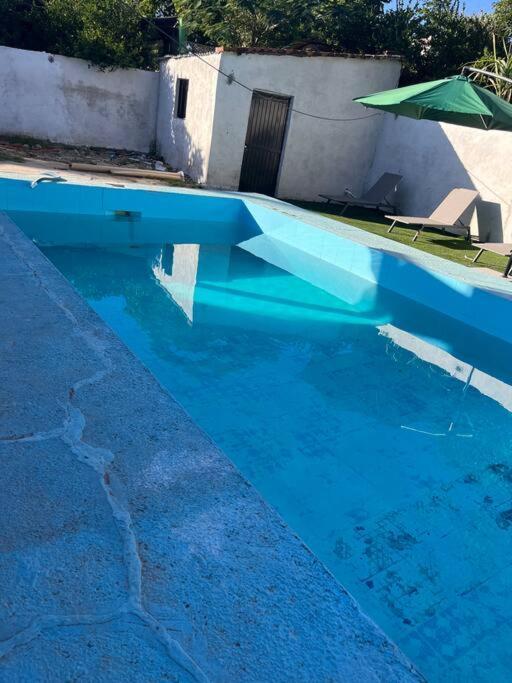 Flores Condominios Depa Lili Alamos Ngoại thất bức ảnh